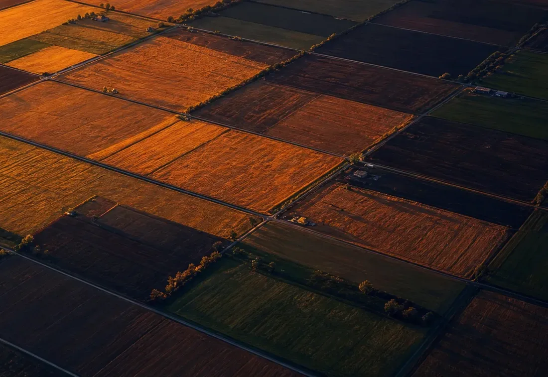 Worked fields at last light, seen from the air
