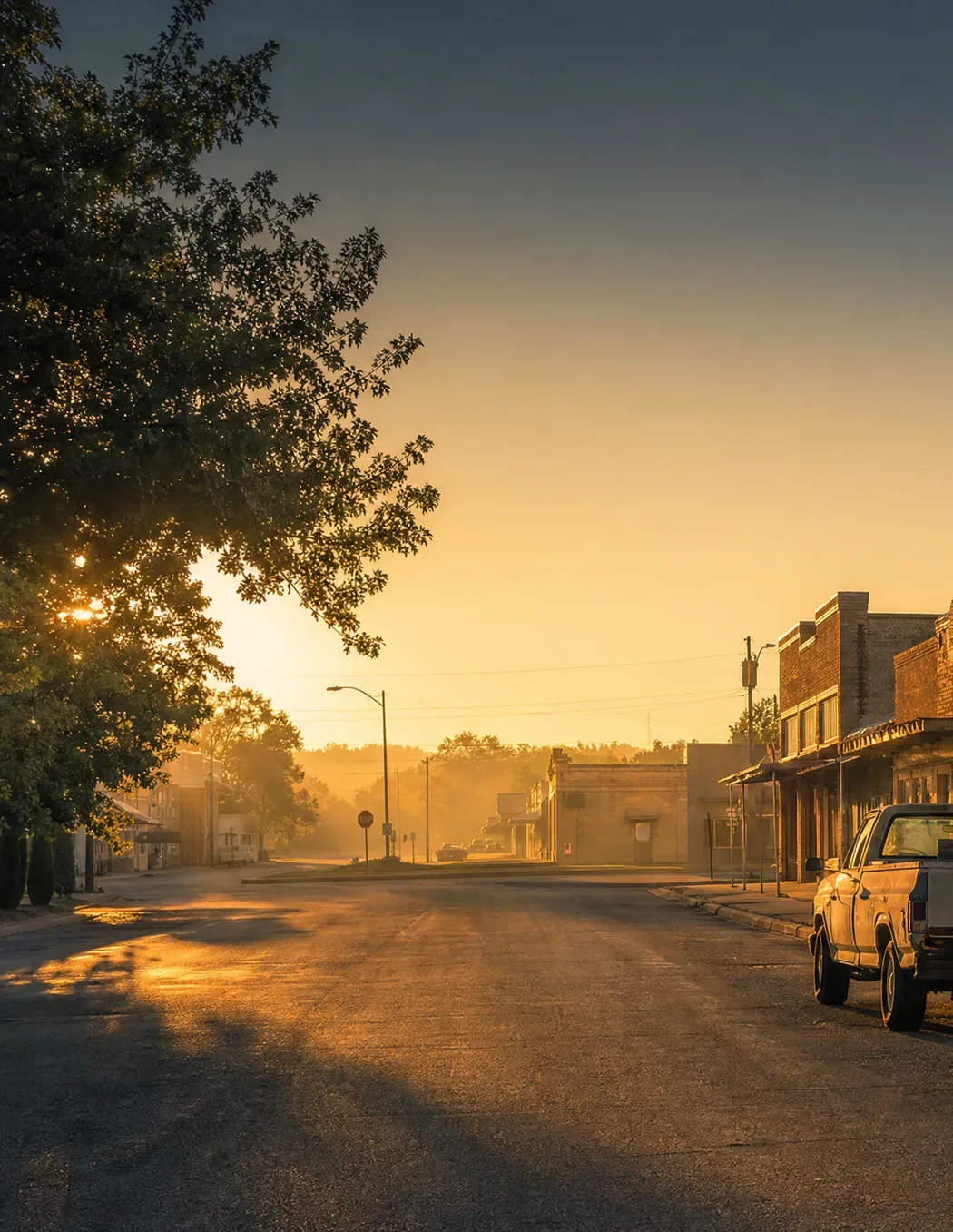 An empty street under a big tree, the sun coming through the branches